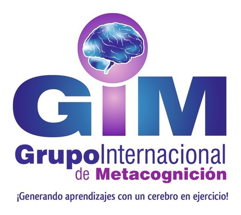 Grupo Internacional de Metacognición